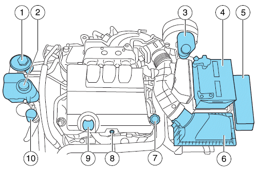 1. Power steering fluid reservoir