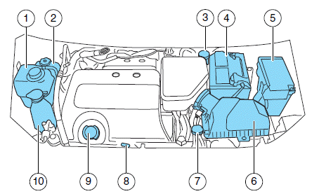 Identifying components in the engine compartment - Maintenance and