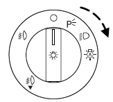 The autolamp system provides light